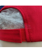 USA 250th Anniversary Made In USA  Cap Hat Veteran Eagle Red