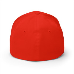 Trump Was Right About Everything Hat Cap Black Red Flex Fit
